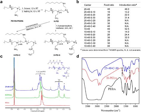 Zwitterionic Modification of Polyethyleneimine for Efficient In Vitro 